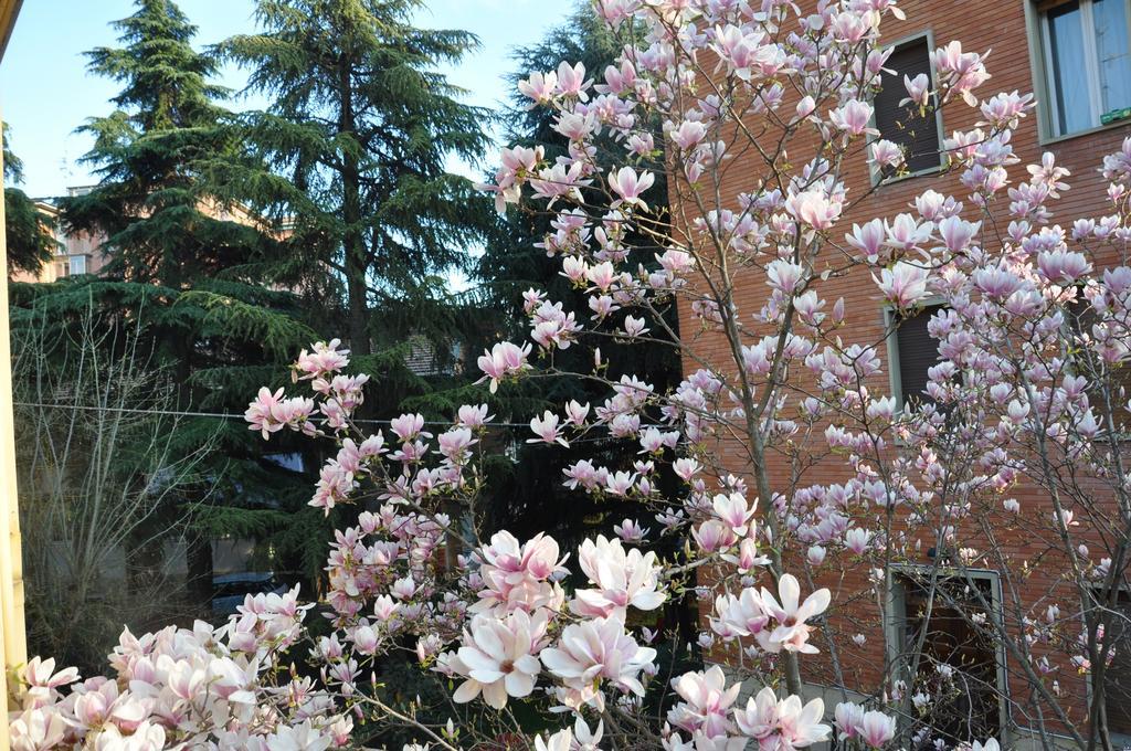 B&B Villa Marsa Bologna Esterno foto